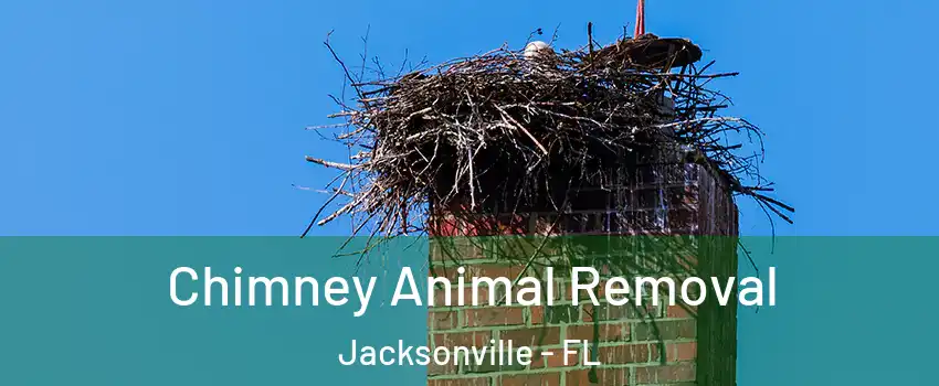  Chimney Animal Removal Jacksonville - FL