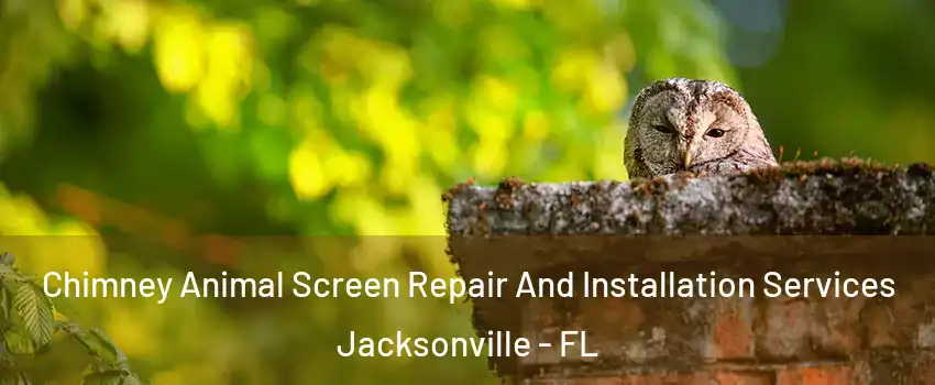  Chimney Animal Screen Repair And Installation Services Jacksonville - FL
