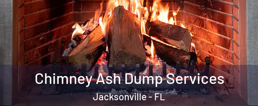  Chimney Ash Dump Services Jacksonville - FL