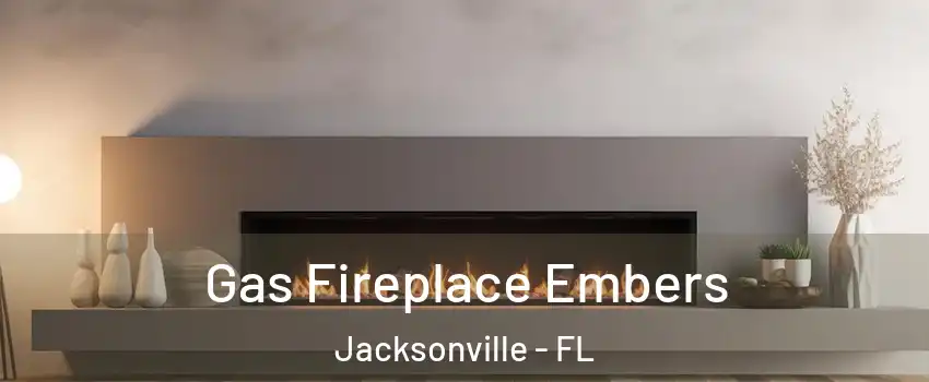  Gas Fireplace Embers Jacksonville - FL
