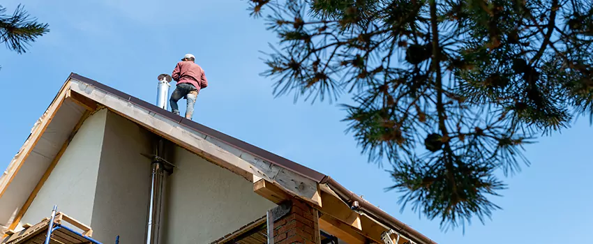 Birds Removal Contractors from Chimney in Jacksonville, FL