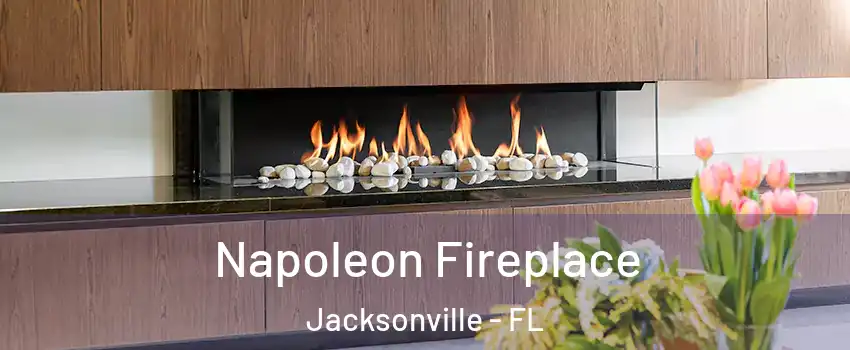  Napoleon Fireplace Jacksonville - FL